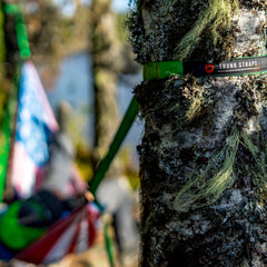 Trunk Straps Hammock Suspension Straps